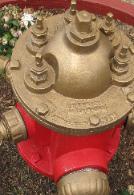 Firefighter Litigation in Texas Courts of Appeals